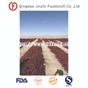 New Crop Sweet Red Paprika From Xinjiang
