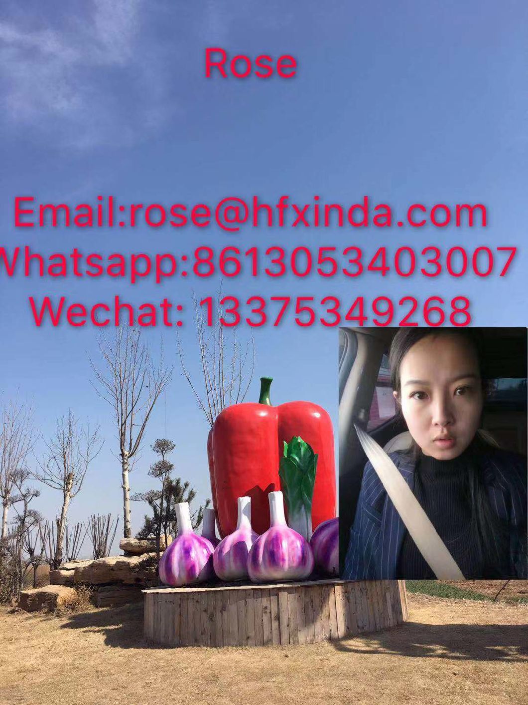 2018 New Crop Red Dry Indian Chili/Hot Pepper/S17