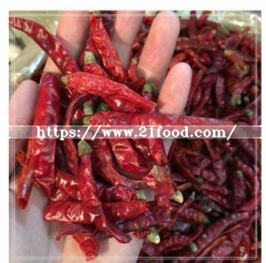 2018 New Crop Red Dry Indian Chili/Hot Pepper