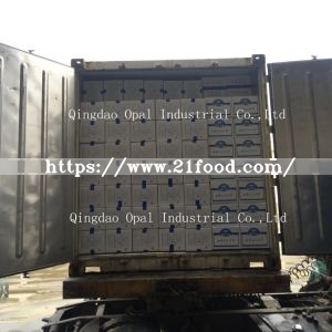 Export to Canada Chinese Vacuum Fresh Peeled White Garlic Clove