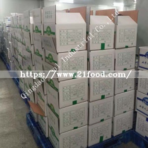 Export to Canada Chinese Vacuum Fresh Peeled White Garlic Clove
