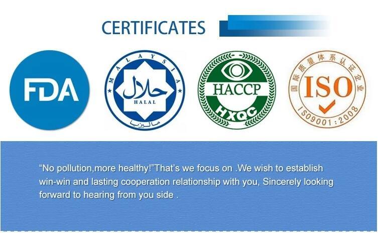 HACCP Dried Style and Bulk Packaging Bulk Garlic Powder