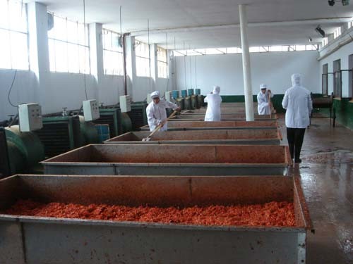 Yellow/White/Red Dehydrated 8-16, 40-80 Mesh Onion Granule