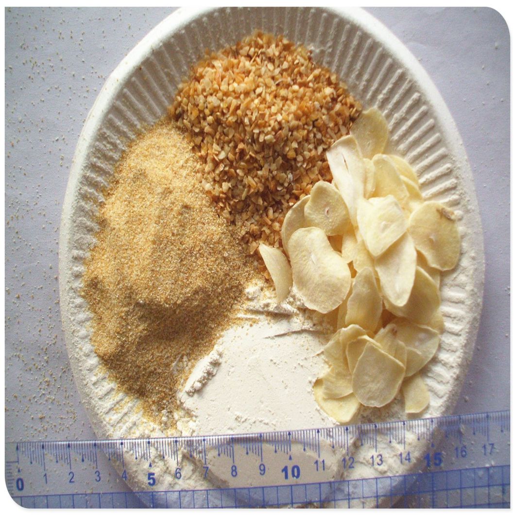 Southeast Market Air Dried Dehydrated Garlic Flake Slice