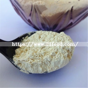 HACCP Dried Style and Bulk Packaging Bulk Garlic Powder