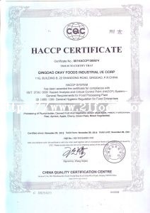 HACCP Dried Style and Bulk Packaging Bulk Garlic Powder