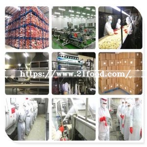 Yellow/White/Red Dehydrated 8-16, 40-80 Mesh Onion Granule
