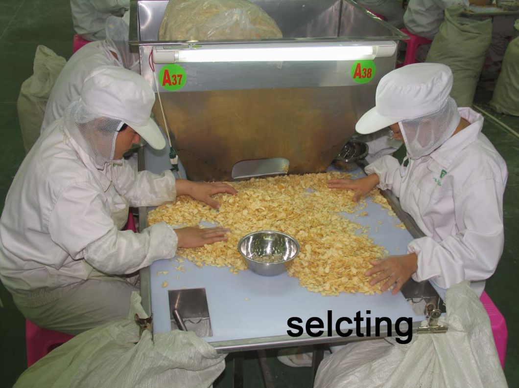 High-Quality 100-120 Mesh Factory Air-Dried Garlic Powder