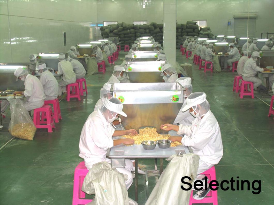 High-Quality 100-120 Mesh Factory Air-Dried Garlic Powder