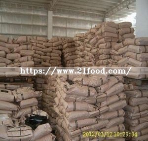 High Quality Bulk Odehydrated Garlic Powder Best Price with The European Standard