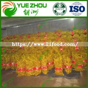 Good Quality Unspoiled Plump Clean Yellow Ginger From China
