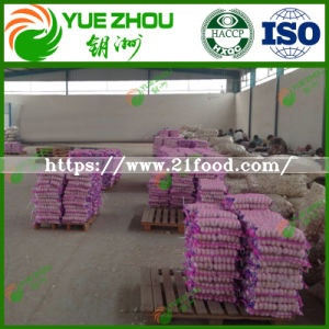 Export Quality Fresh Garlic Normal White Garlic for Sale