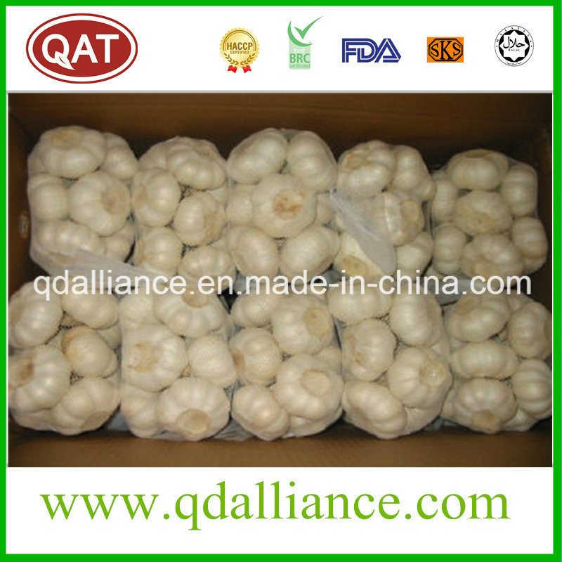 None GMO Normal White Garlic with ISO9001 Certificate