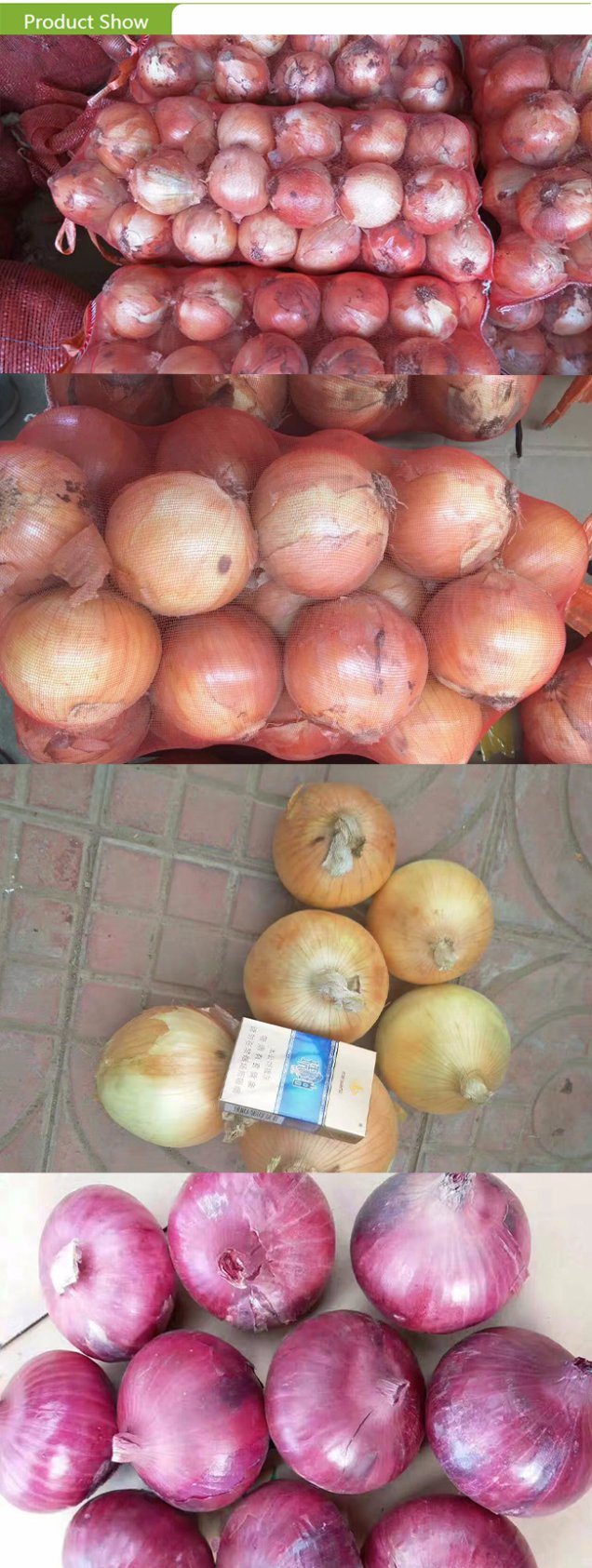 High Quality Fresh Yellow Onion with Competitive Price