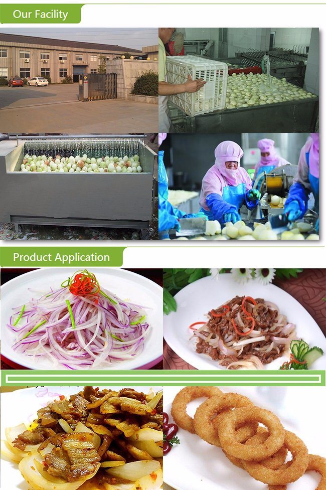 High Quality Fresh Yellow Onion with Competitive Price
