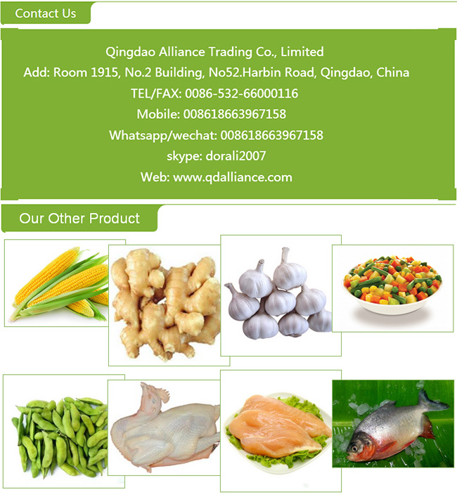 High Quality Fresh Yellow Onion with Competitive Price