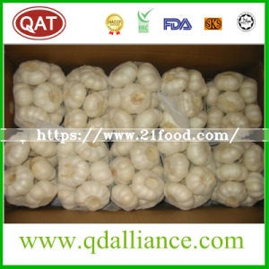 None GMO Normal White Garlic with ISO9001 Certificate
