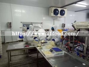 IQF Garlic Puree Tablet Exported to EU
