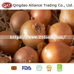 High Quality Fresh Red Pearl Onion 35mm