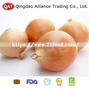 High Quality Fresh Red Pearl Onion 35mm