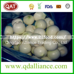 2019 Fresh Yellow Onion with High Quality