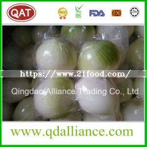 2019 Fresh Yellow Onion with High Quality