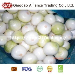 High Quality Fresh Yellow Onion with Competitive Price