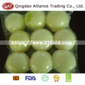 High Quality Fresh Yellow Onion with Competitive Price