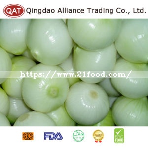 High Quality Fresh Yellow Onion with Competitive Price
