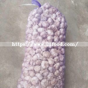 Dehydrated Garlic Powder White Color
