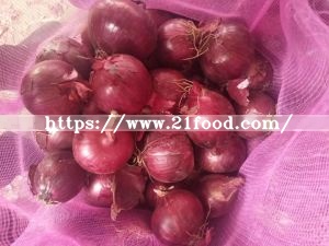 Chinese Fresh Red / Yellow Onion