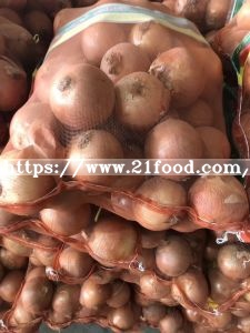 Chinese Fresh Red / Yellow Onion