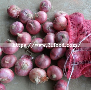 Chinese New Crop Red Round Onion