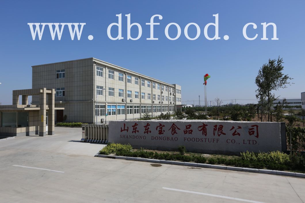 Factory Supply New Crop Dehydrated Garlic Granule