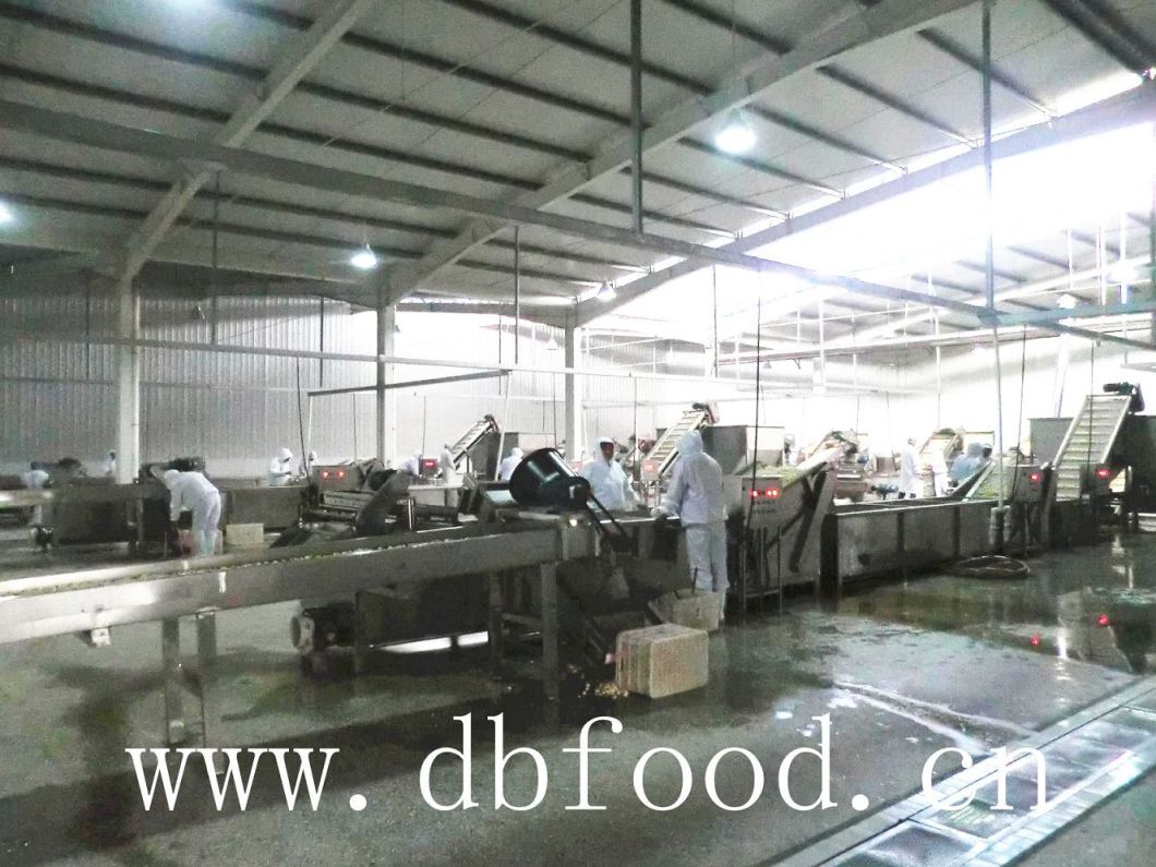Factory Supply New Crop Dehydrated Garlic Granule