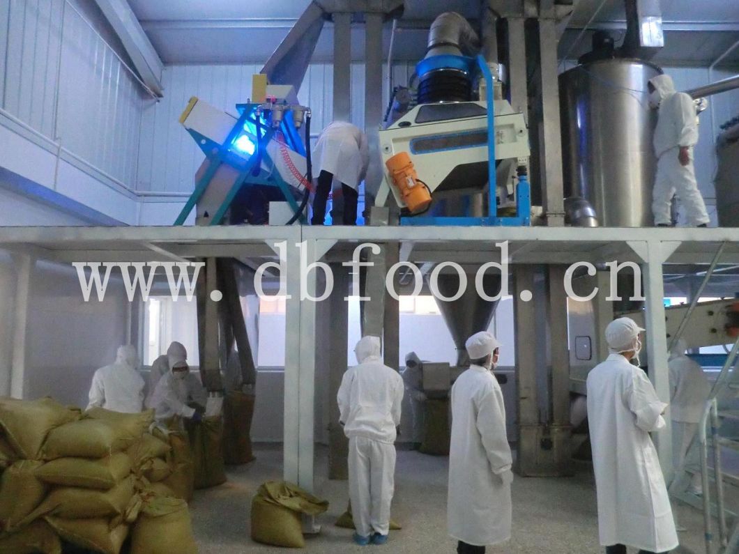Factory Supply New Crop Dehydrated Garlic Granule