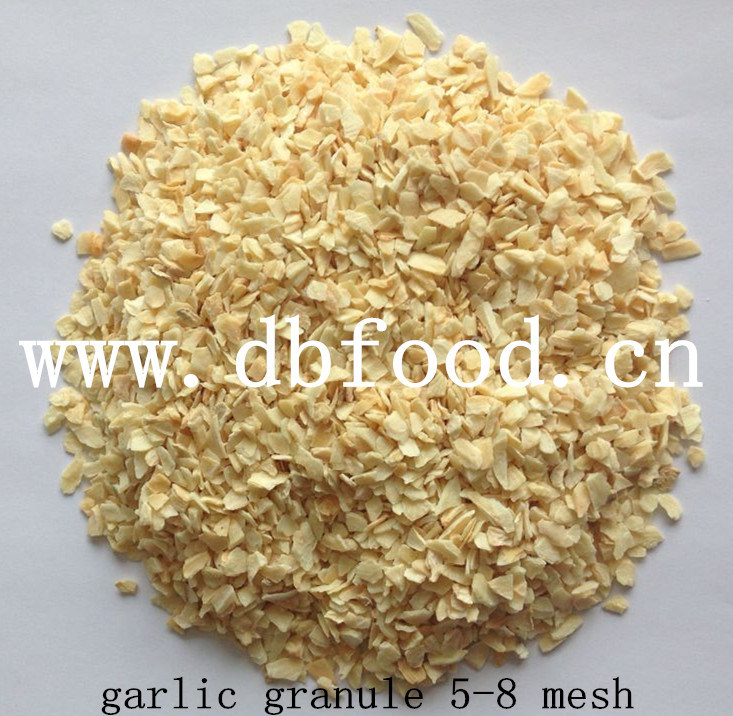 New Crop Good Quality Dehydrated Garlic Granule