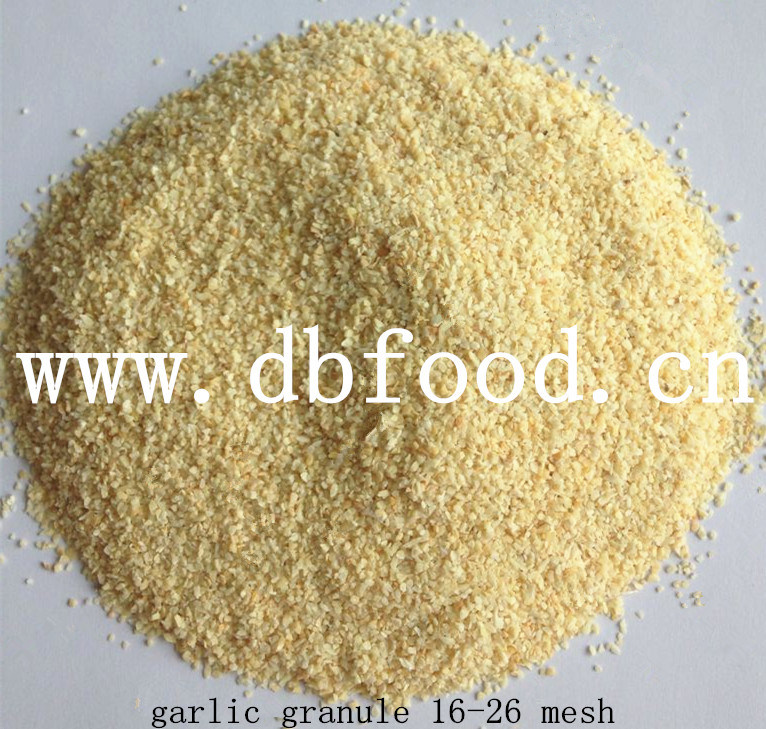 New Crop Good Quality Dehydrated Garlic Granule