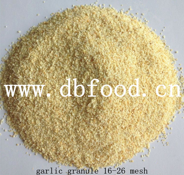 New Crop Dehydrated Garlic Granule From Factory