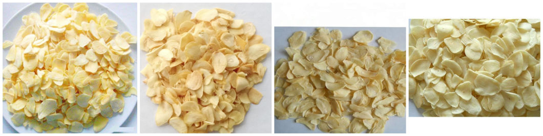 Best Quality Garlic Processing / Garlic Granules