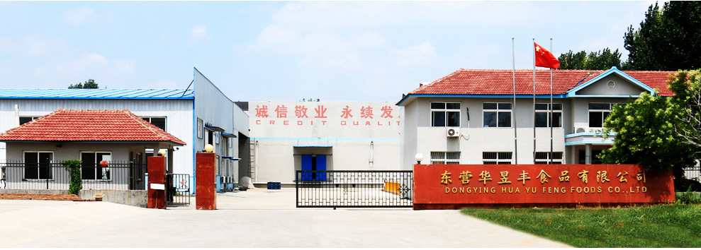Best Quality Garlic Processing / Garlic Granules