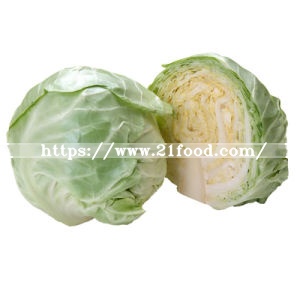 2019 New Crop Fresh Cabbage Wholesale High Quality