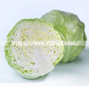 2019 New Crop Fresh Cabbage Wholesale High Quality