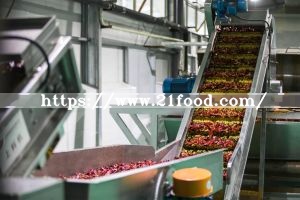 Factory Processing Dehydrated Dried Red Chili