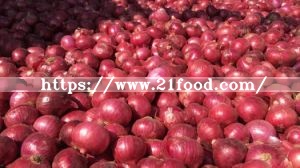 Export Quality Best Onions Red Mesh Bag Packing