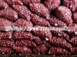 Export Quality Best Onions Red Mesh Bag Packing