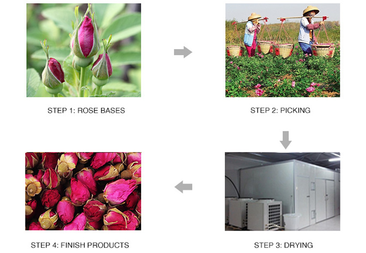 Nutritional Custom Made Rose Slimming Tea with Best Price