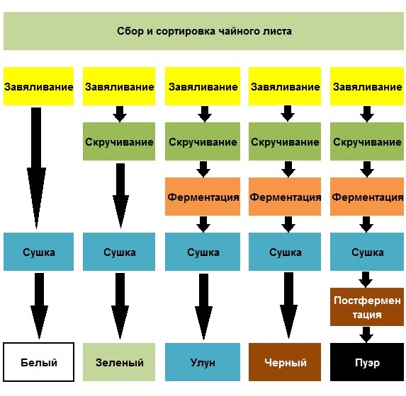 Технологическая схема чая