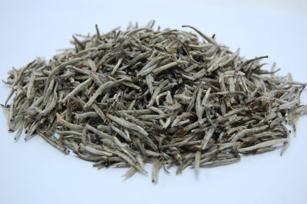 Spring Crop White Bai Hao Yin Zhen Tea