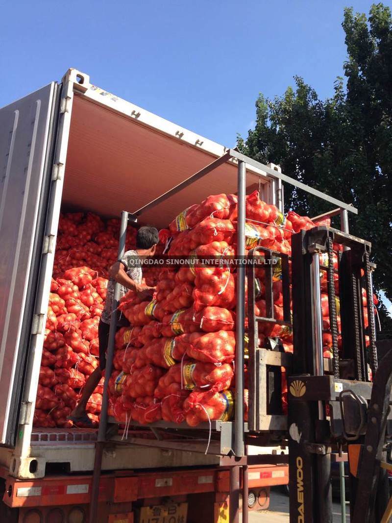 Fresh Red Onion Packed with 5/10/20kg Mesh Bag